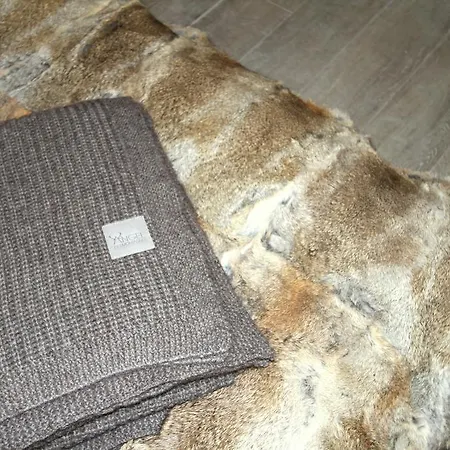 L'evolene Apartment Les Deux Alpes